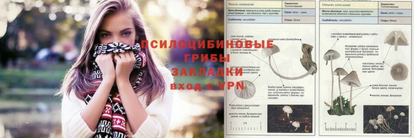 амф Аркадак