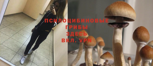 PSILOCYBIN Алексеевка
