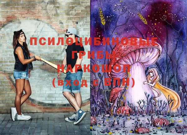 mdpv Армянск