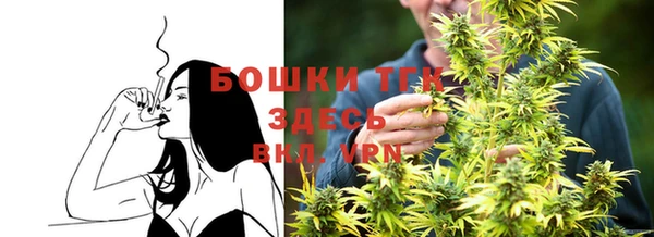 амф Аркадак